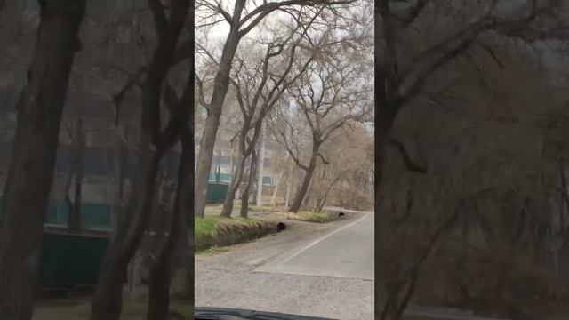 4446aec95214d7612cb6e12670a8ae97