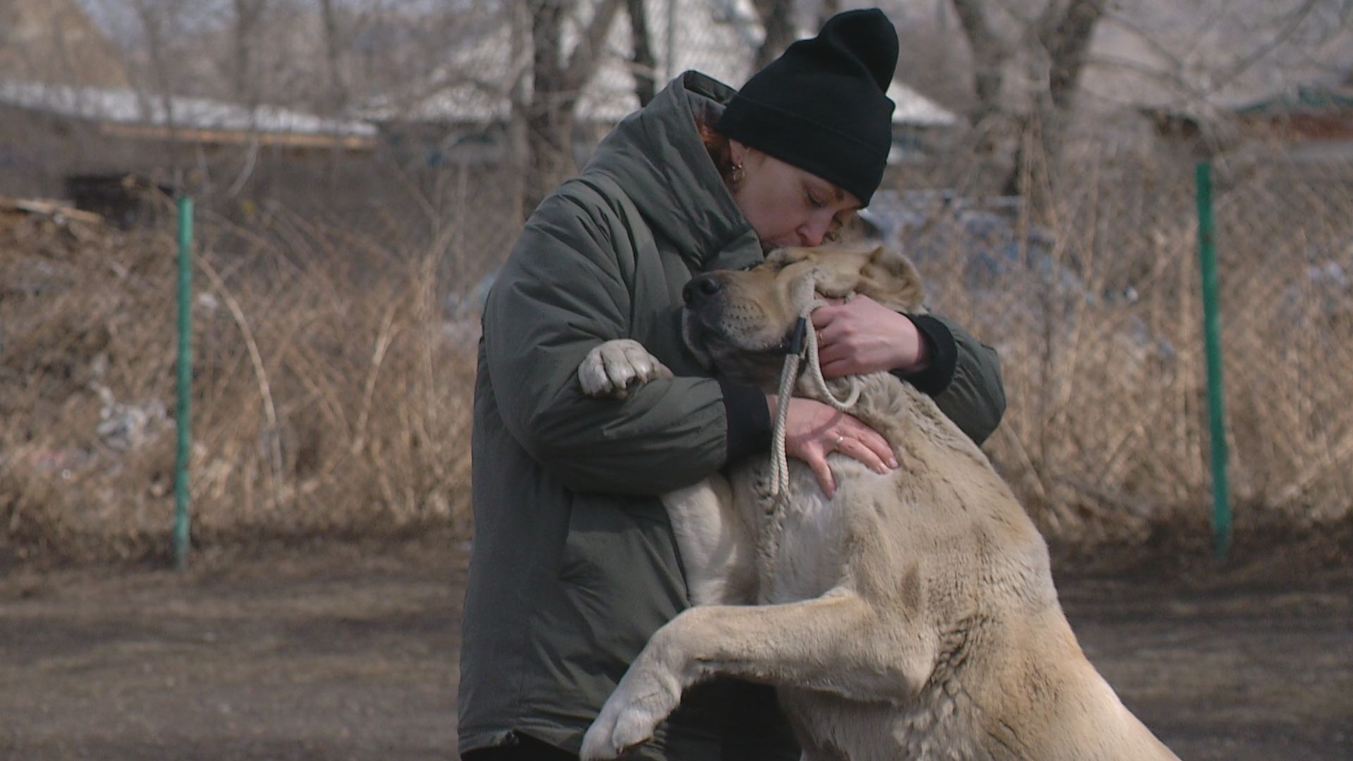Будущие охранники: маленькие овчарки показали себя во всей красе