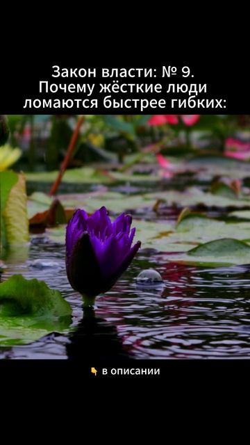 Закон власти № 9