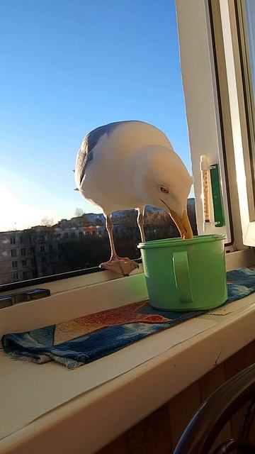 Матильда 4 серия