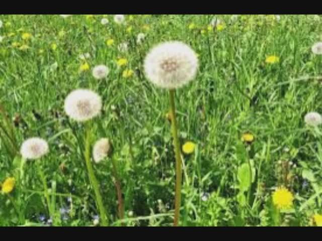 22 апреля - Вадим Ключник. Народные приметы и традиции