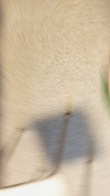 скул бой в рояльном мире 🙄🤬🧒👱♀️🤙🤟