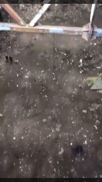 Роупджампинг в Санкт-Петербурге: Экстремальные развлечения Агентства Экстрима АХАА