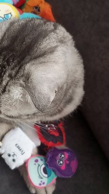 я на моей памяти