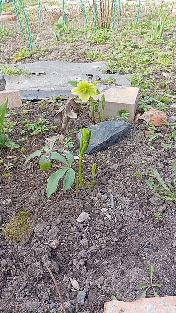 Уникальный рецепт мясных оладушек