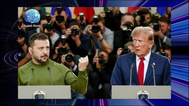 Зеленский пренебрежительно высказался о Трампе и его зяте Кушнере