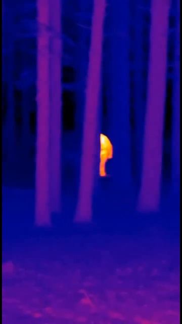 Снежный человек на тепловизоре