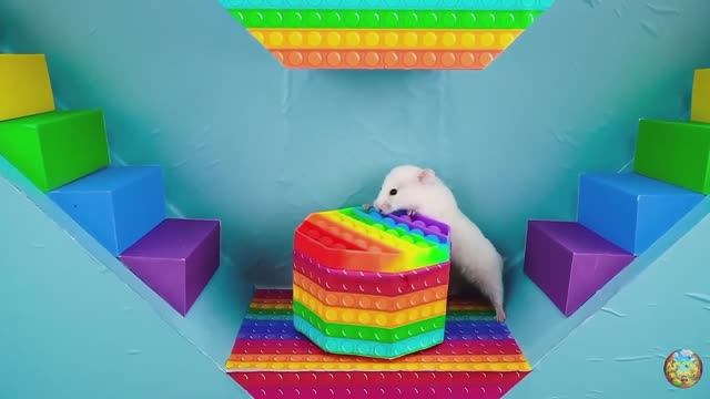 Хомячок убегает из ловушки голодных акул в водном лабиринте! часть 3