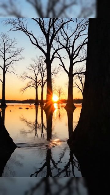 52f1cda3a09485ce8d54f9d85d763ecd