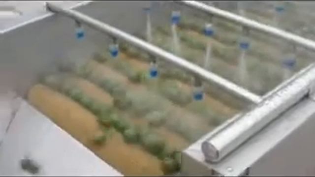 Машина для деликатной мойки овощей Вега/Vega Del Wash F30