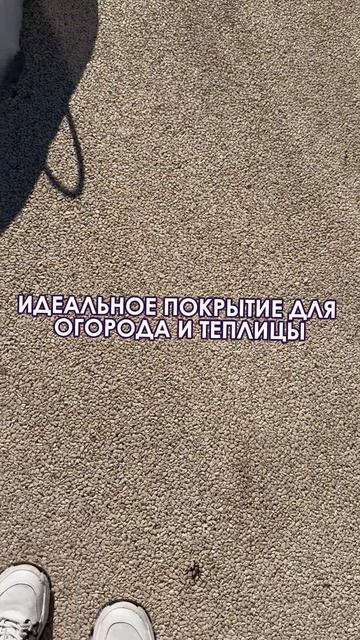 Какое покрытие выбрать для зоны огорода и теплицы
