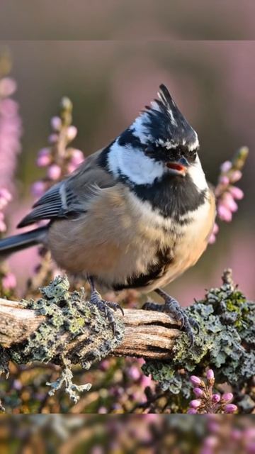 Ef6720980b03486aa9d9cecdac54e269