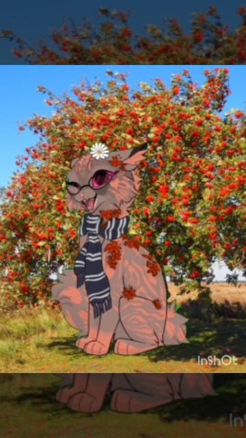 Здравия! Я Шелуха Рябины! Мятный Чай с Костезвёздом в психушке, но я не новая ОС!