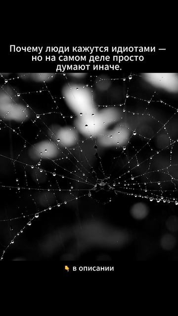 Почему люди кажутся идиотами
