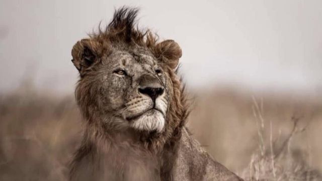 М.879)) Прославим Господа по Писанию.