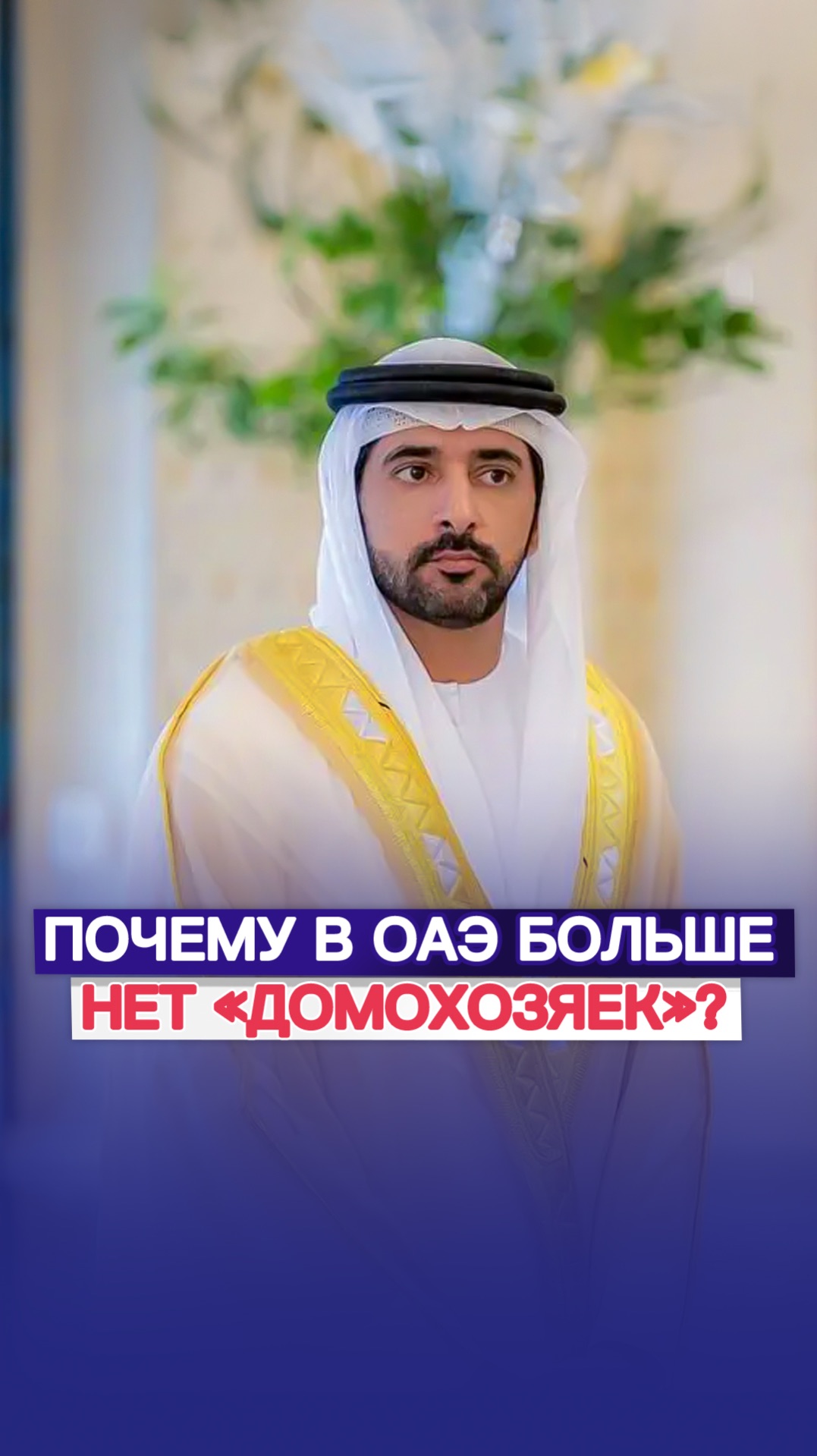 Почему в ОАЭ больше нет  домохозяек??