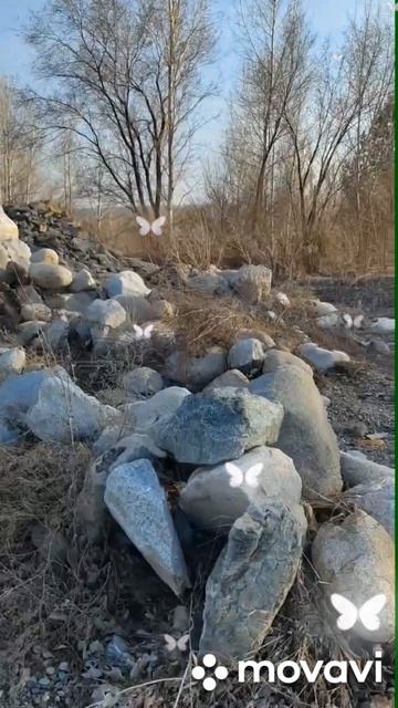 Речной окатыш  для ландшафтного дизайна. Наличие сертификатов соответствия. Город Бийск.Алтайсеий  к