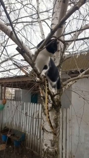 Опасные игры