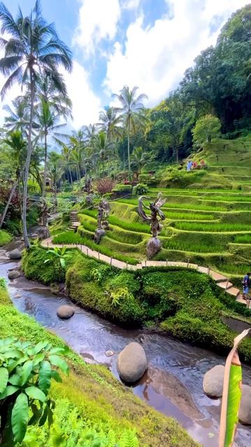 Зелёные террасы, Алас Харум Бали, Тегаллаланг, Индонезия