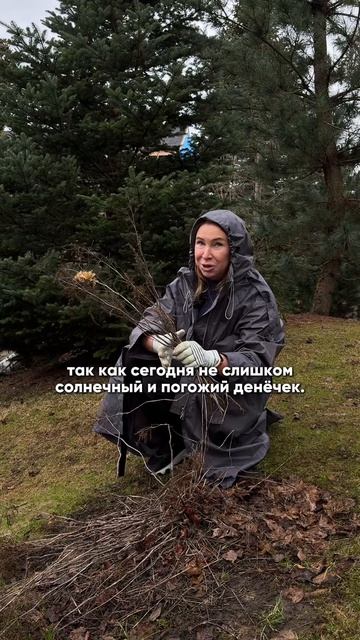 Меньше, чем за 90 секунд объясняю, почему я не срезаю многолетники осенью.