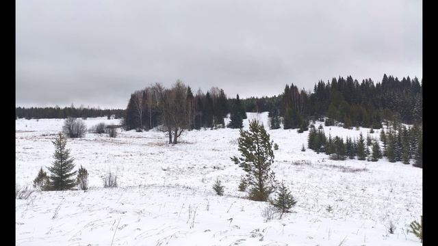 П. Коэльо. О поддержке и ответственности. Притча 51. Книга Воина Света