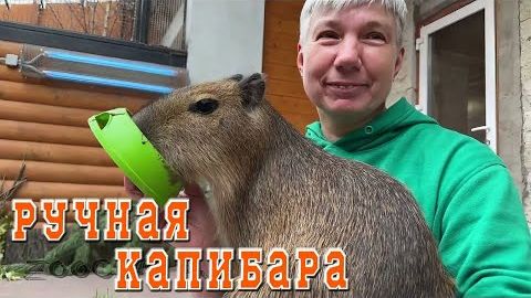 Люди, преданные зоопарку. И нужна ли мне капибара?