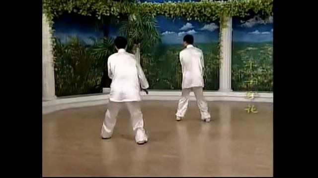 Тайцзи Чжан №2