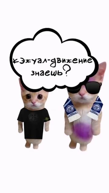 котята пояснят)