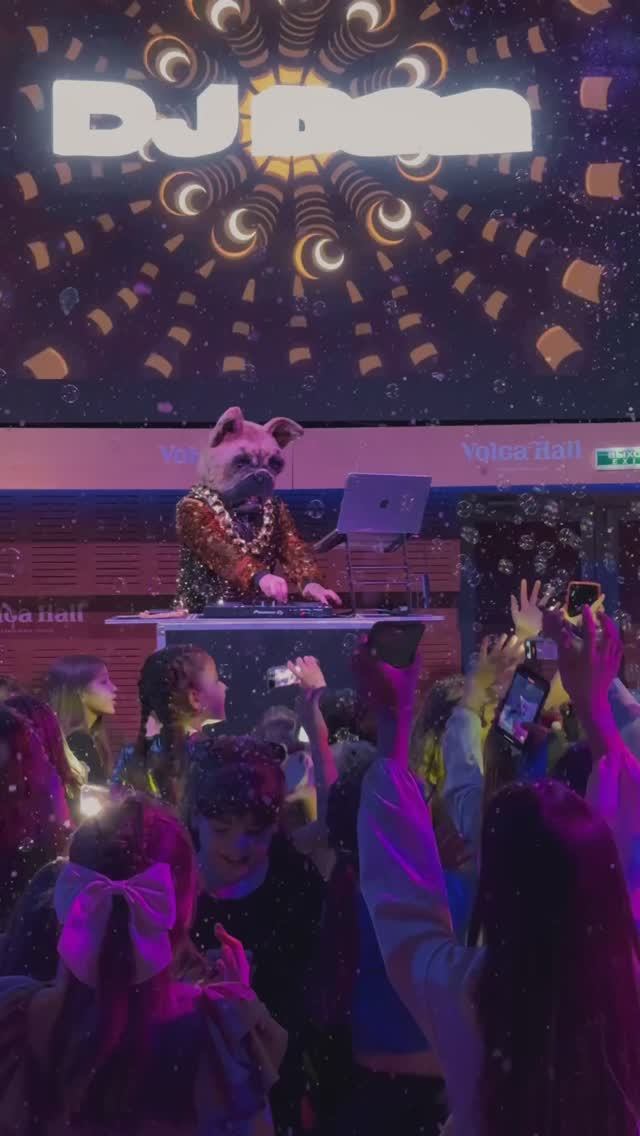 Диджей «Дог»