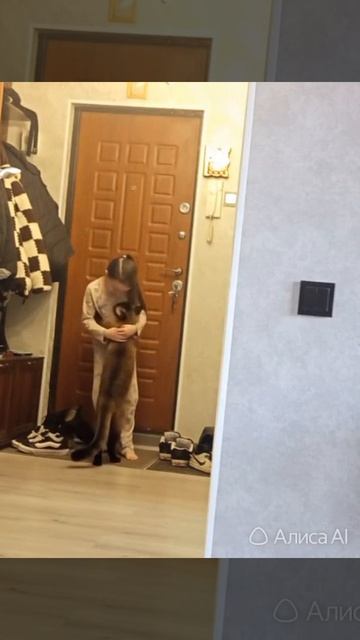 Обнимаю котика Филиппа