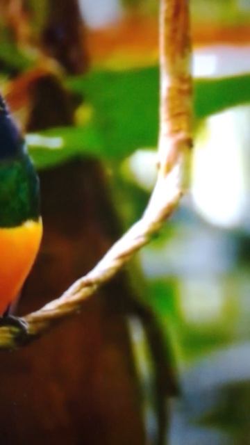 чупа чупс,ждём ответ!