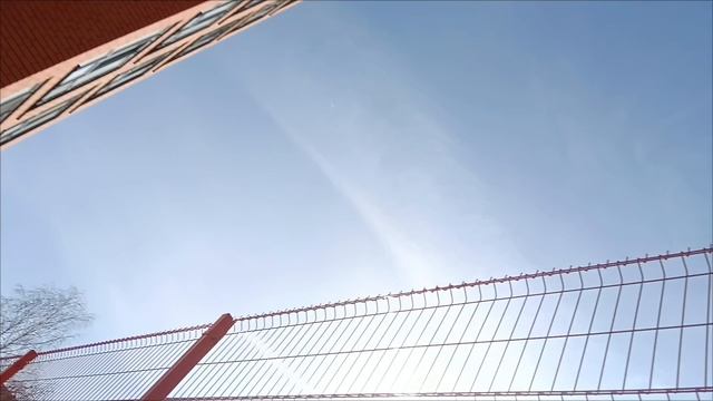 опять дерево