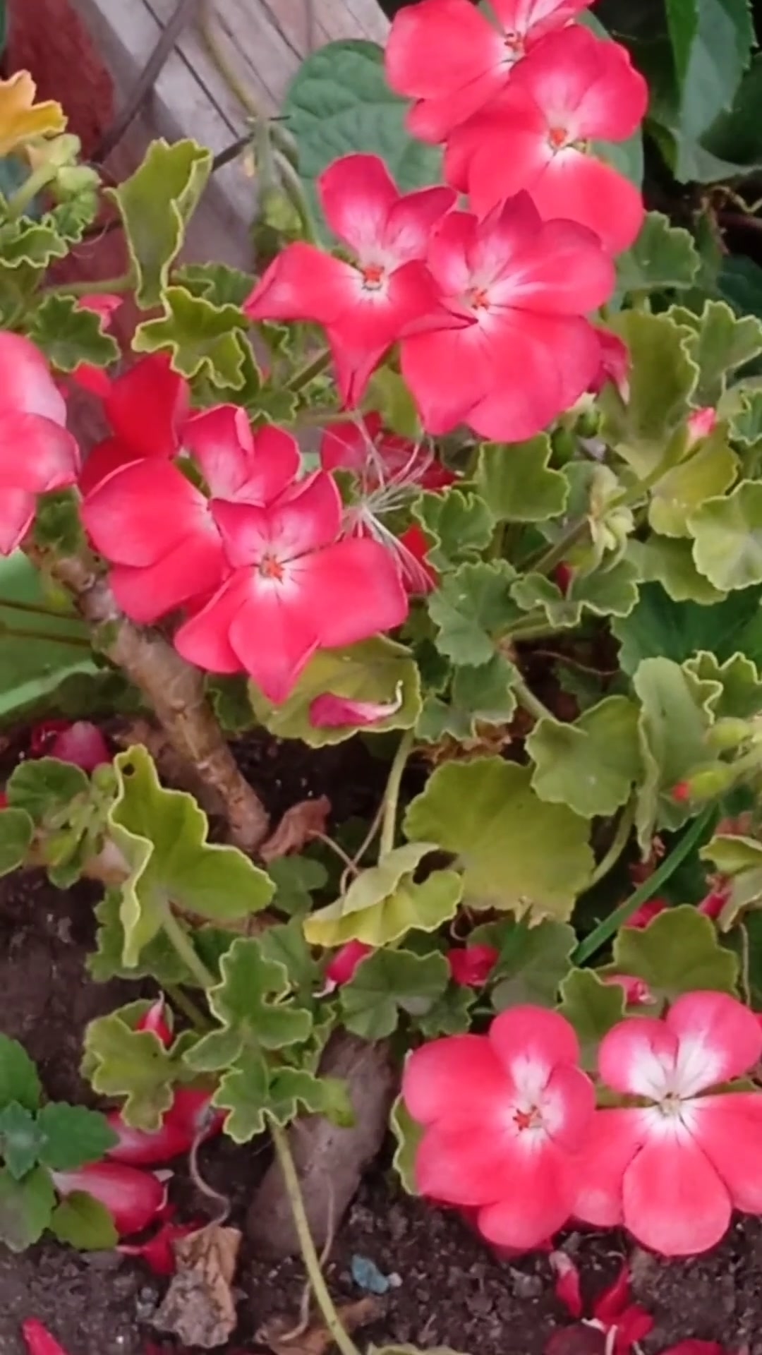 Мира входящему! ❤️ 21-04-2026