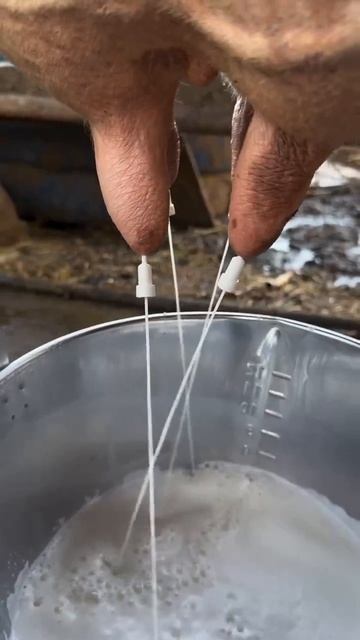 Видео от Департамент Вирусного Контента | ДВК