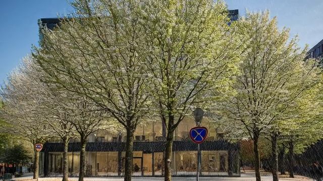 времена года