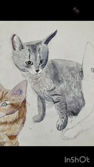 Кошка Ася - от Рыжебоки.