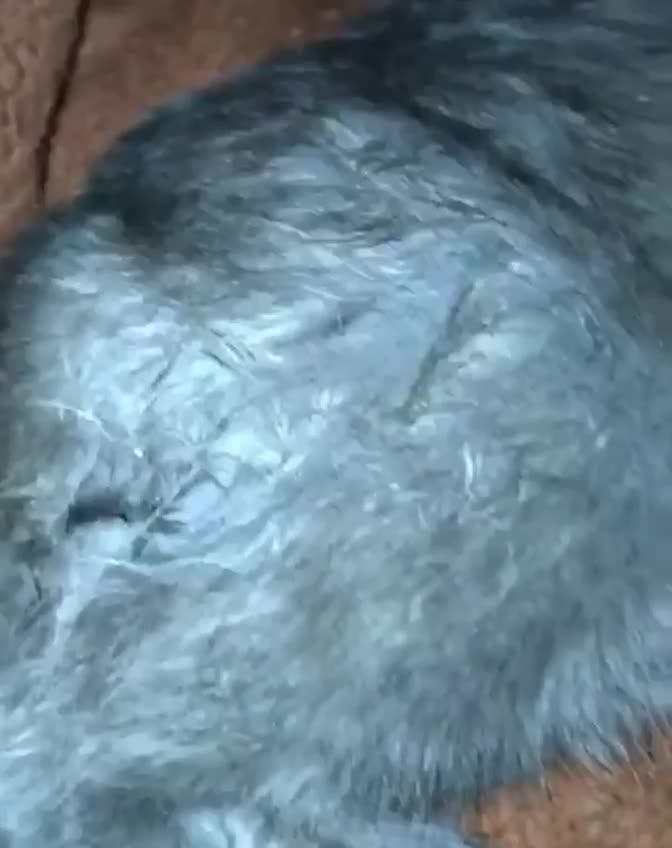 Сегодня у нас случилась беда…