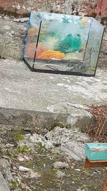 📅-21-Апрель-2026-🍄-Год  ⌚️-12:10  📹-HD-mp4  📱-Samsung Galaxy M12