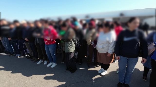 Полиция выявила более 200 нелегальных мигрантов на плодоовощной базе в Краснодар