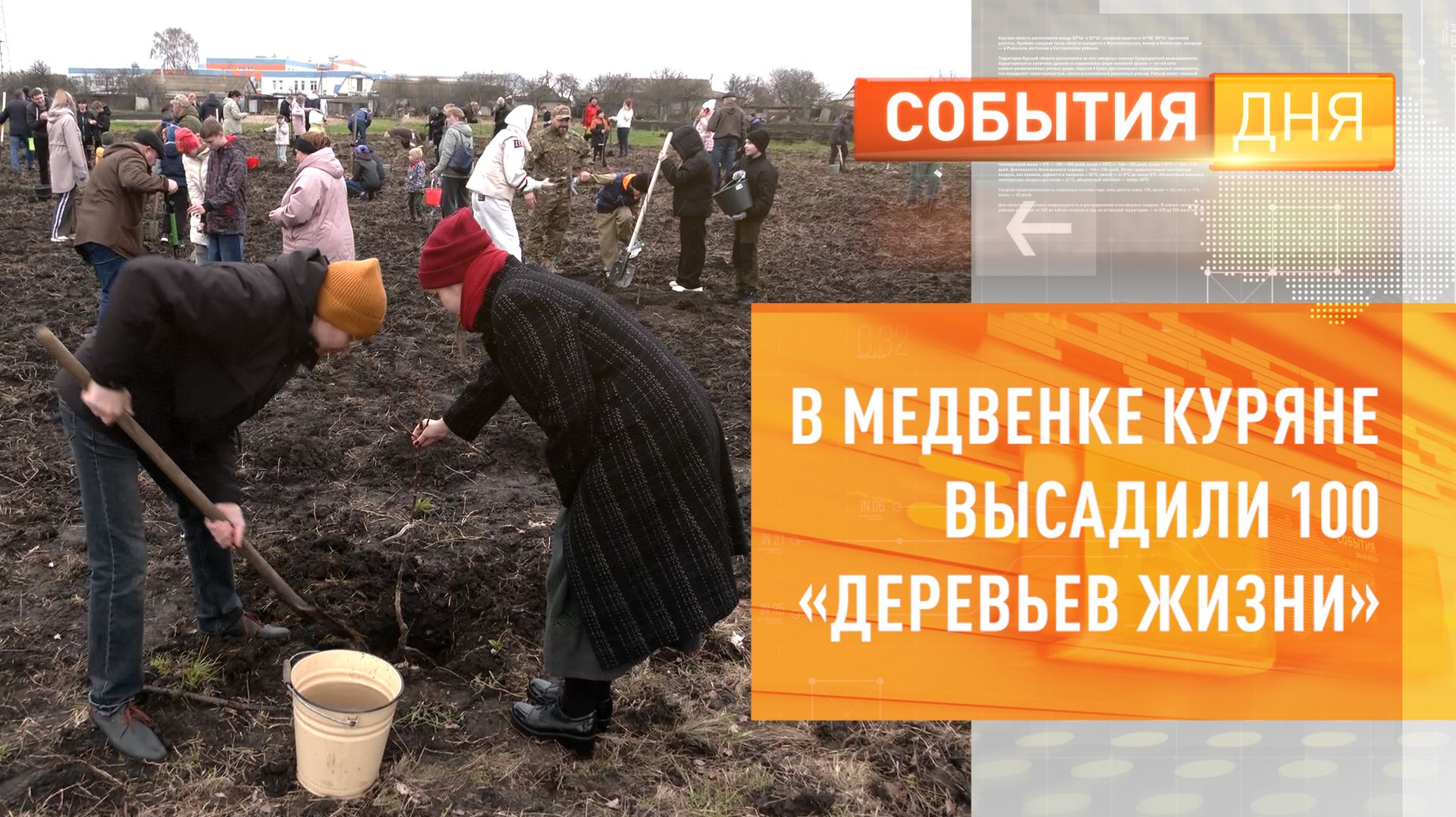 В Медвенке куряне высадили 100 «деревьев жизни»