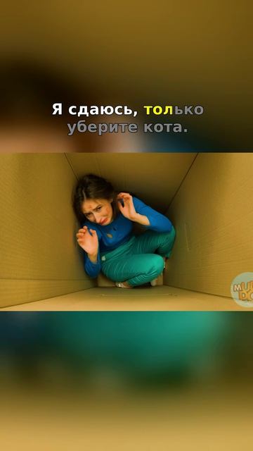 😱 Котик — ЛУЧШИЙ игрок в прятки?!