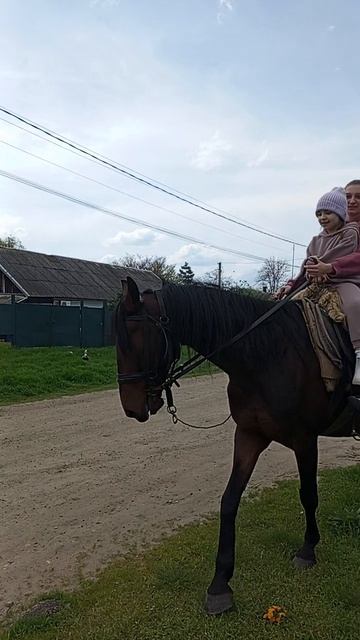 я катаюсь на лошади!!!