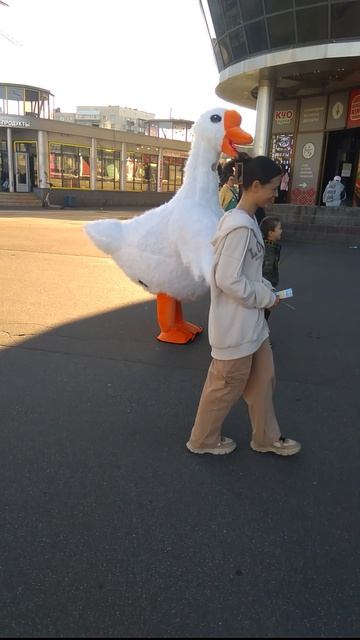 в костюме Утки