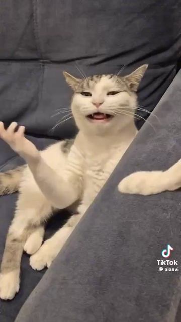 2026-04-18T07_50_49.292