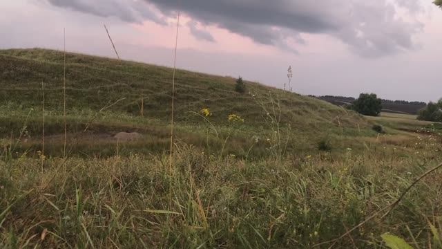 ОХОТА НА СУРКА, ПЯТЬ ПРАВИЛ