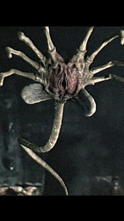 Чужой! Рисуем лицехвата! #aliens #comics #shorts #sketch #drawing #фантастика