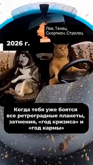 Как врываемся в 2026? #новыйгод2026 #новыйгод #прогноз #прогностика #гороскоп #нумеролог #astrology