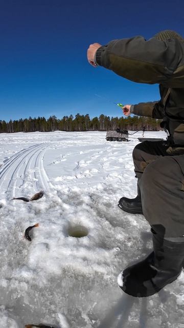 19 апреля на Рыбалку