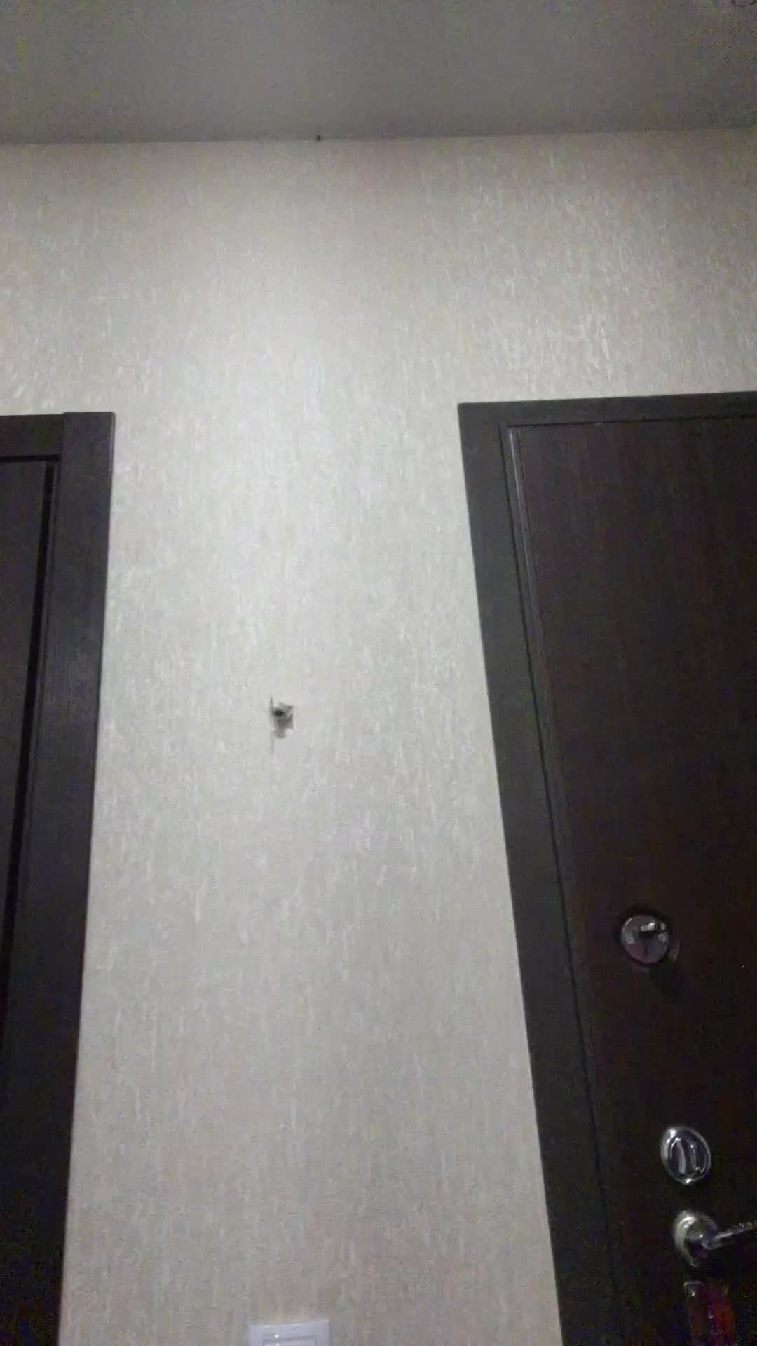 Мой вторник