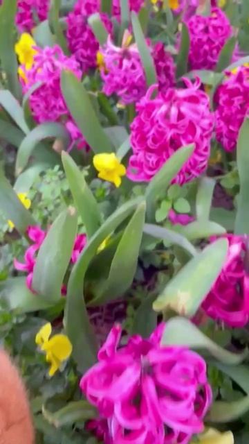 Ялта 💖💖💖